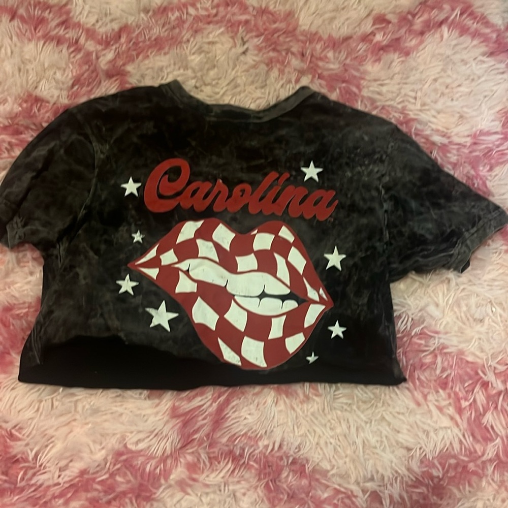 UofSC Carolina Cropped Graphic tee